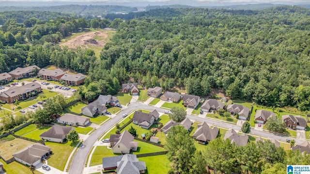 295 OAK LEAF CIRCLE, Pell City, AL 35125