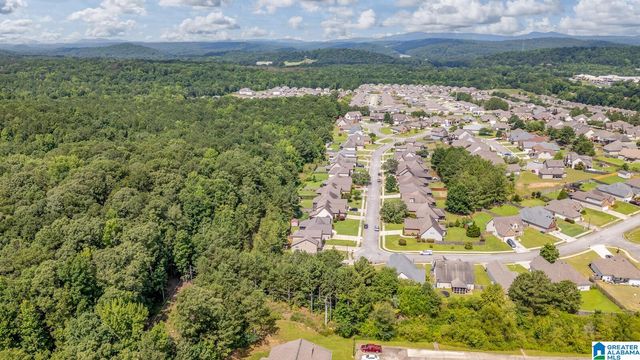 295 OAK LEAF CIRCLE, Pell City, AL 35125