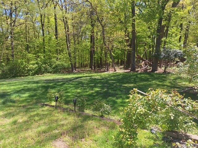 101 Gatto Lane, Pearl River, NY 10965