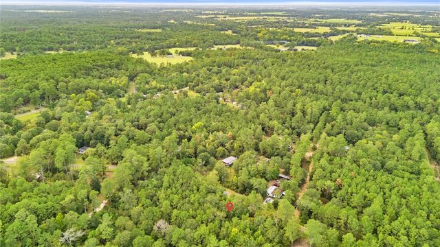 000 County Road 201 Loop, Plantersville, TX 77363