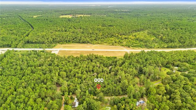 000 County Road 201 Loop, Plantersville, TX 77363