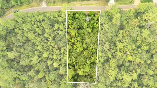 000 County Road 201 Loop, Plantersville, TX 77363