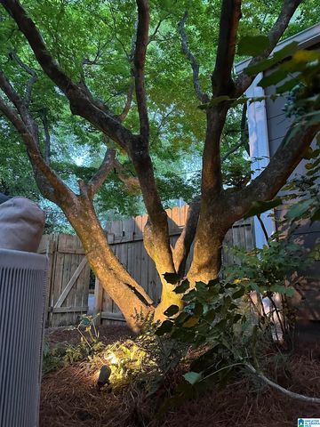 401 CHERRY STREET, Mountain Brook, AL 35213