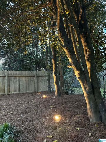 401 CHERRY STREET, Mountain Brook, AL 35213