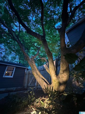 401 CHERRY STREET, Mountain Brook, AL 35213