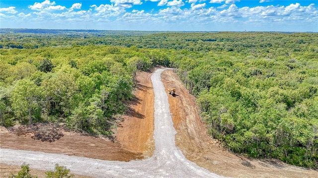 Lot 10 Deer View Estates Road, Holden, MO 64040