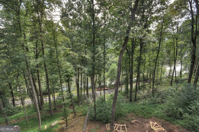 271 Toccoa Preserve Court, Blue Ridge, GA 30513