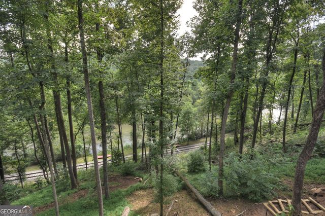 271 Toccoa Preserve Court, Blue Ridge, GA 30513