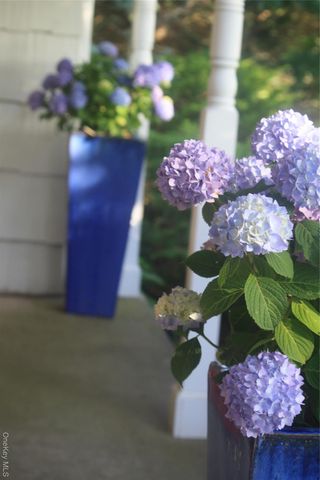 5845 E Bridge Lane NE, Cutchogue, NY 11935