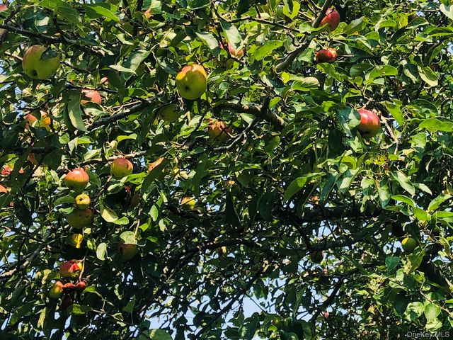 5845 E Bridge Lane NE, Cutchogue, NY 11935