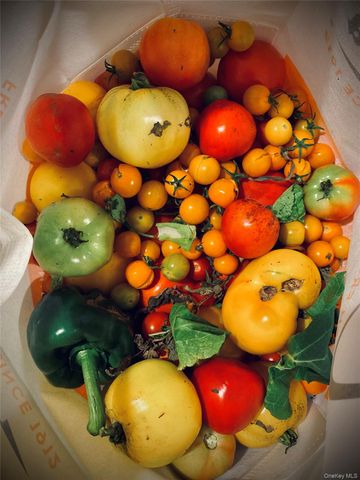 5845 E Bridge Lane NE, Cutchogue, NY 11935