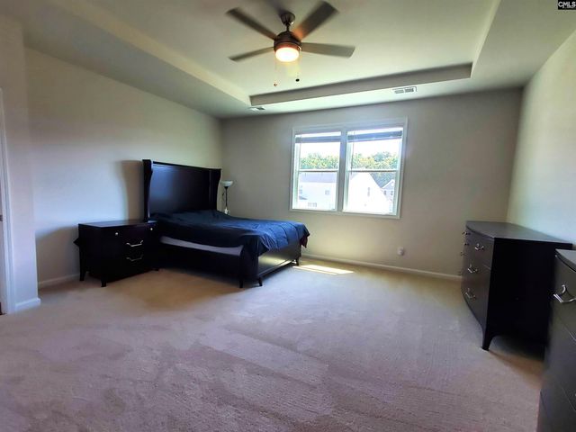 351 Chapin Place Way, Chapin, SC 29036
