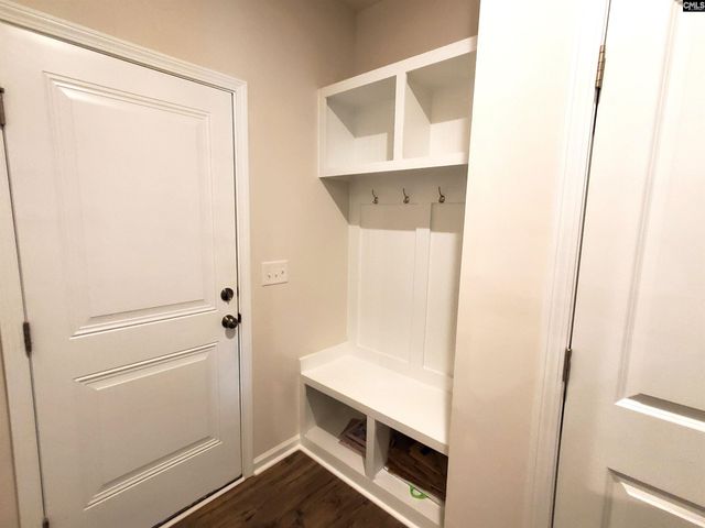 351 Chapin Place Way, Chapin, SC 29036