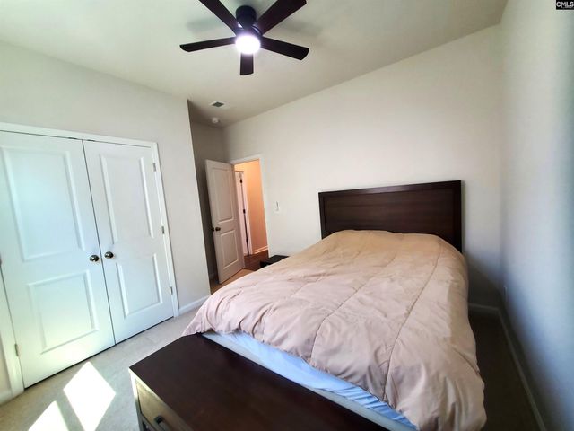 351 Chapin Place Way, Chapin, SC 29036