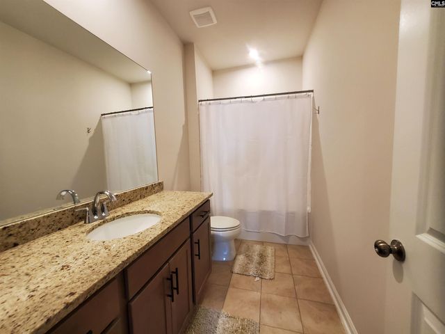 351 Chapin Place Way, Chapin, SC 29036