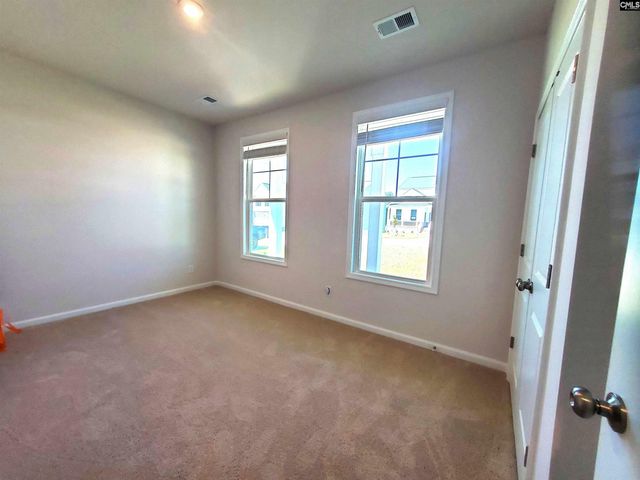 351 Chapin Place Way, Chapin, SC 29036