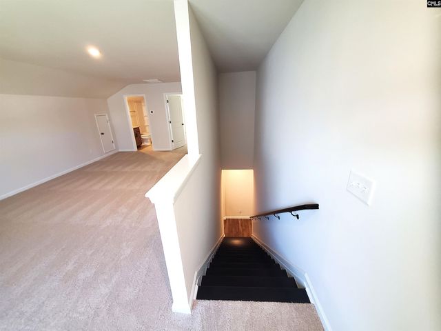351 Chapin Place Way, Chapin, SC 29036