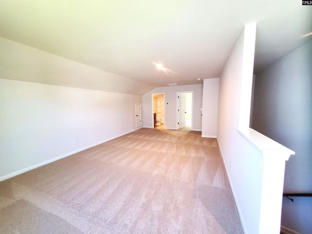 351 Chapin Place Way, Chapin, SC 29036
