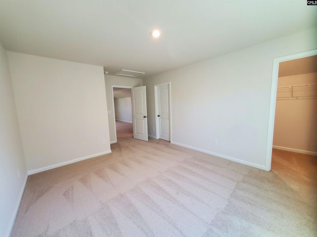 351 Chapin Place Way, Chapin, SC 29036