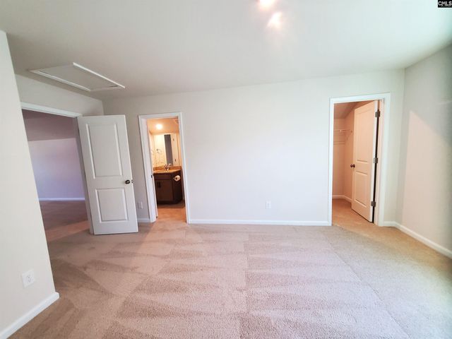 351 Chapin Place Way, Chapin, SC 29036