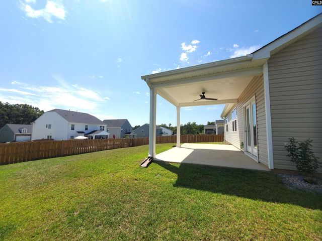 351 Chapin Place Way, Chapin, SC 29036