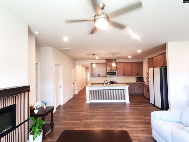 351 Chapin Place Way, Chapin, SC 29036