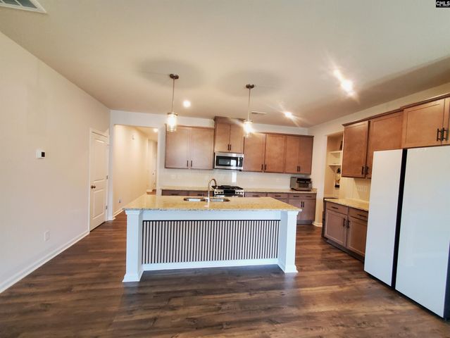 351 Chapin Place Way, Chapin, SC 29036