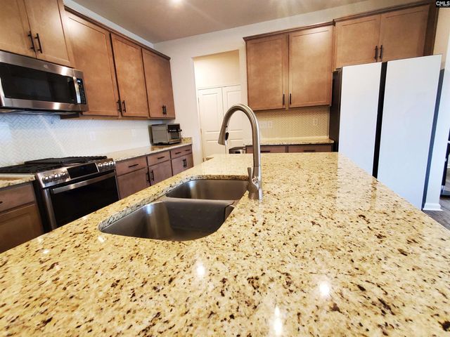 351 Chapin Place Way, Chapin, SC 29036