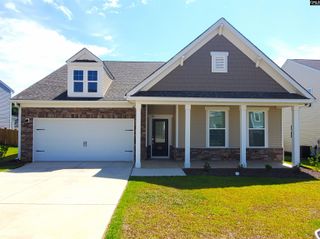 351 Chapin Place Way, Chapin, SC 29036