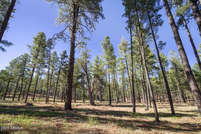 175 N Windy Grove Circle, Payson, AZ 85541