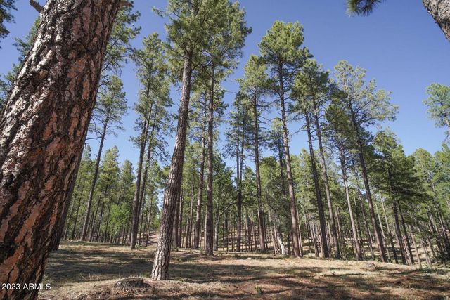 175 N Windy Grove Circle, Payson, AZ 85541