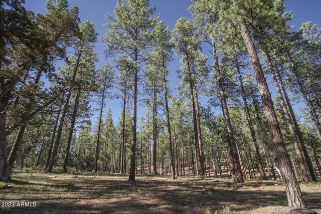 175 N Windy Grove Circle, Payson, AZ 85541