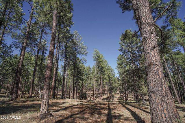 175 N Windy Grove Circle, Payson, AZ 85541