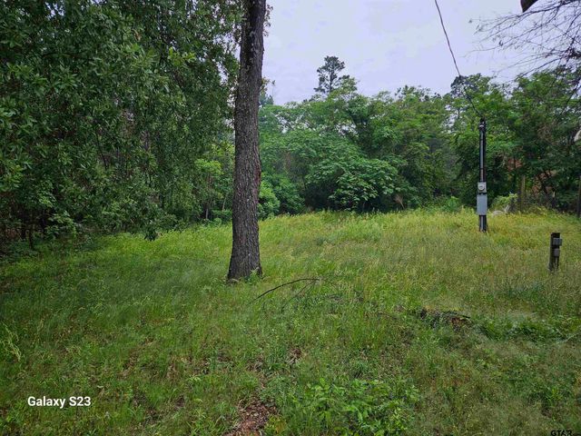 17296 Oak Dr, Lindale, TX 75771