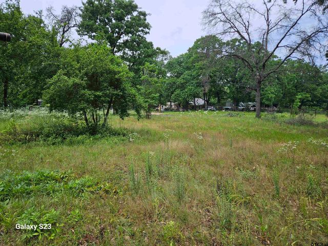 17296 Oak Dr, Lindale, TX 75771