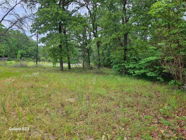 17296 Oak Dr, Lindale, TX 75771
