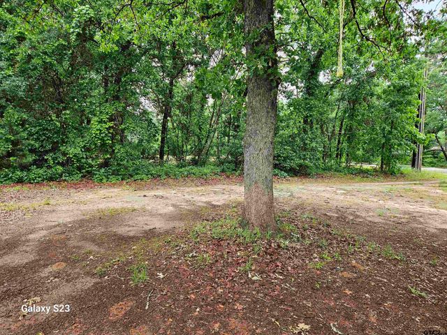 17296 Oak Dr, Lindale, TX 75771