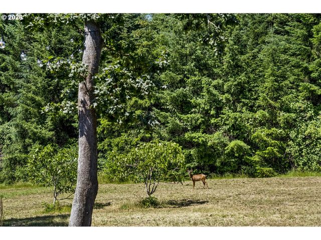 17340 Ne WOODLAND LOOP Rd, Yamhill, OR 97148