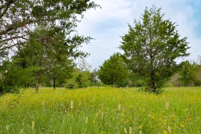 12029 Eagle Lane, North Zulch, TX 77872