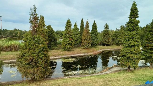 10644 LAKE MONTAUK DRIVE, Riverview, FL 33578