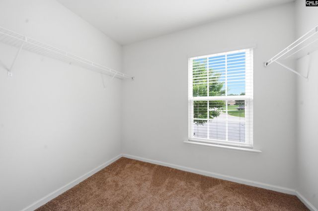196 Phoenix Lane, Lexington, SC 29072