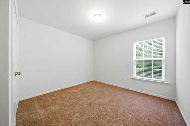 196 Phoenix Lane, Lexington, SC 29072