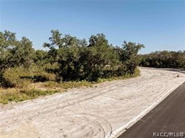 1459 Oxford Preserve Trail, Oxford, FL 34484