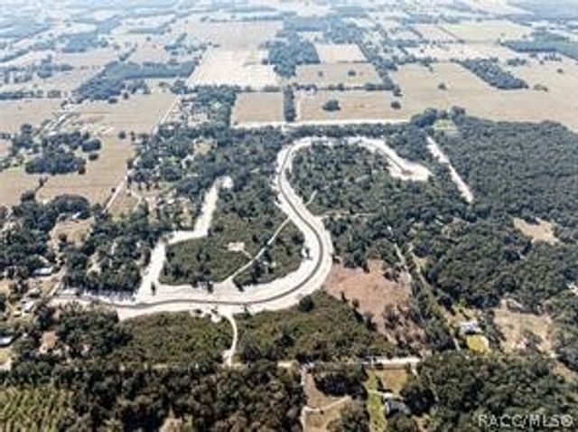 1459 Oxford Preserve Trail, Oxford, FL 34484