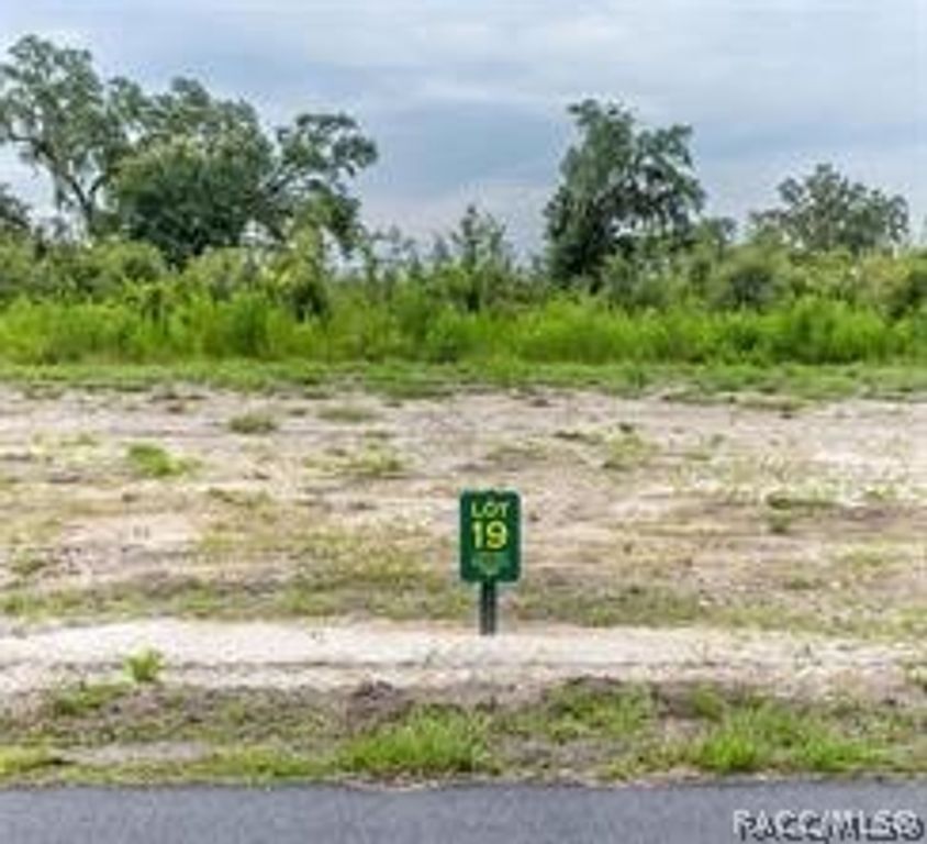 1459 Oxford Preserve Trail, Oxford, FL 34484
