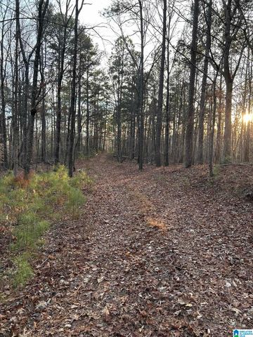 4424 COUNTY ROAD 66, Heflin, AL 36264