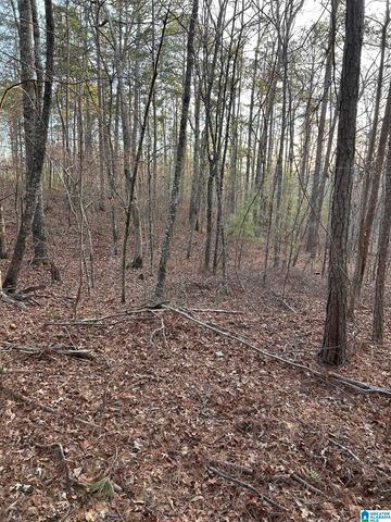 4424 COUNTY ROAD 66, Heflin, AL 36264