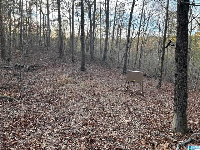 4424 COUNTY ROAD 66, Heflin, AL 36264