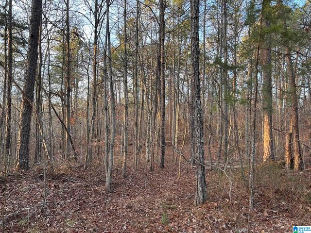 4424 COUNTY ROAD 66, Heflin, AL 36264