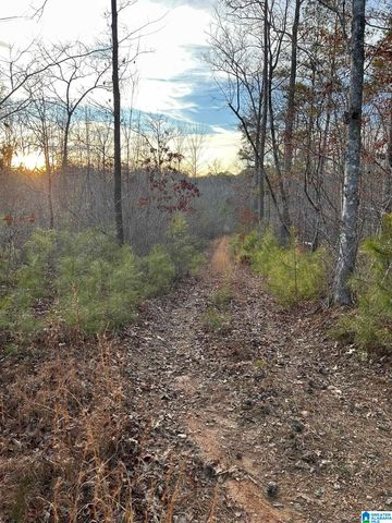 4424 COUNTY ROAD 66, Heflin, AL 36264